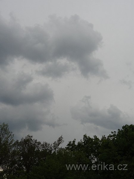 DSC02054.JPG