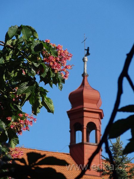 DSC02220.JPG