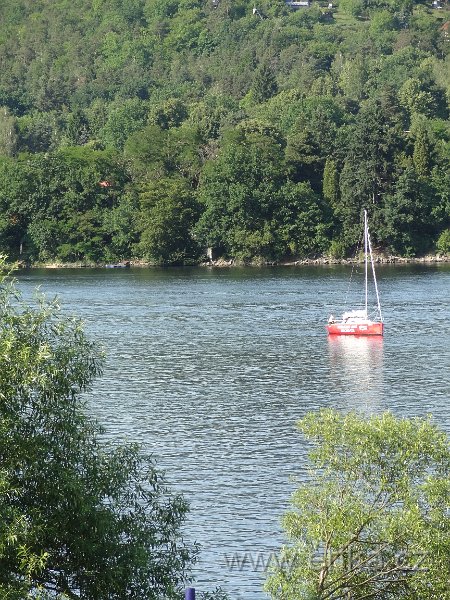 DSC02373.JPG