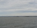 DSC03675