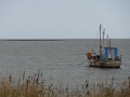 DSC03725