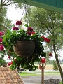 DSC03909